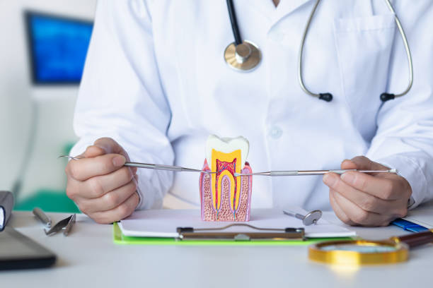 Best Emergency Denture Repair in Newport, AR